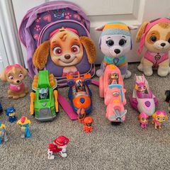 Paw patrol