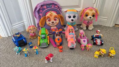 Paw patrol