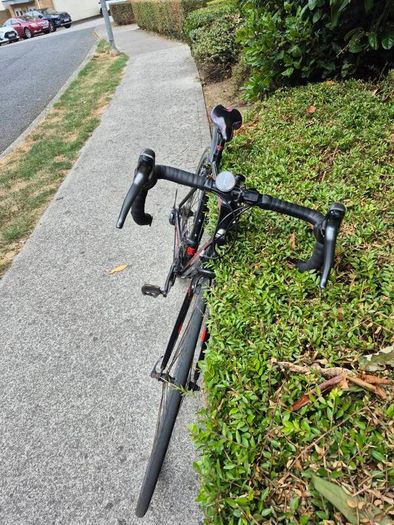 Carrera racing bike