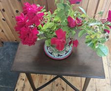 Small lamp table