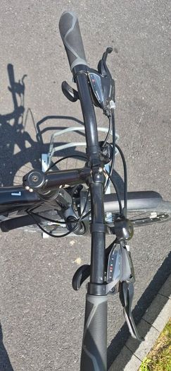 Trek 1 Dual sport hybrid bike -large frame