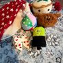 Various dog Bandanas, bows, toys, jumpers and blankets Image 4