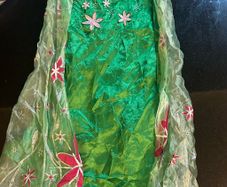 Elsa dress