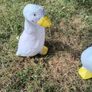 Ducks x 3 Image 4