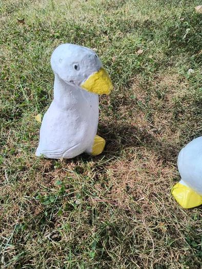 Ducks x 3