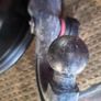 land rover Discovery 4 towbar Image 2