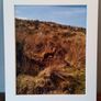 Mounted Original Photography - Wicklow Fox Image 2