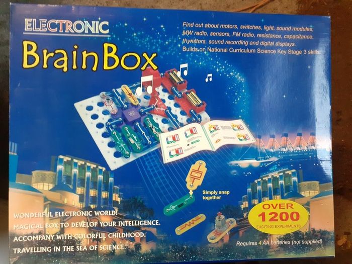 Electronic brain box game