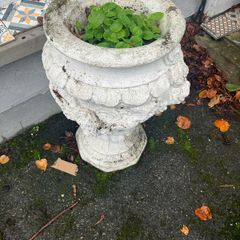 garden flower pot