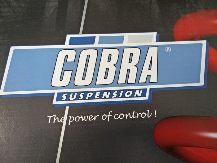 COBRA Lowering Springs Audi A2 Seat Cordoba 6l Ibiza 6l Skoda Fabia 6y 5j Vw Fox 5z Polo 9n