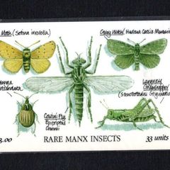 1994 Isle of Man Rare Manx Insects (Siemens - S30 (Module 34)) Phone Card