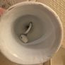Vintage Porcelain Hand Bell with 3D Pink Roses - Perfect Condition Image 3