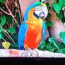 LG 49" 4K Ultra HD slim TV for sale Image 7