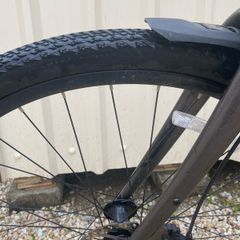 Giant Escape 3 2020 Disc