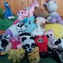 Mix of teddys Image 4
