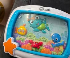 baby einstein aquarium