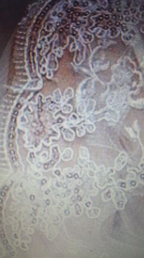 Long Cathedral Length Sequined Veil
