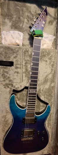 Esp Horizon Ii Bpg
