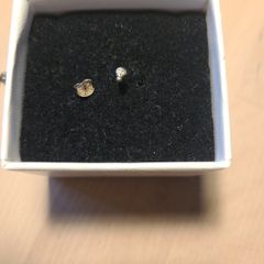 Mini Skull Stud Earrings