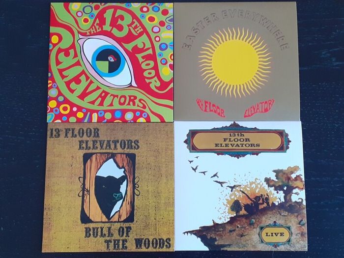 The 13th Floor Elevators