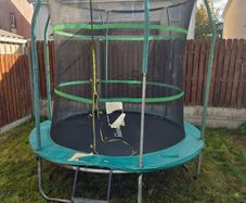 trampoline