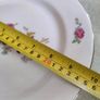 Lovely Limoge Hanging Plate. Image 5