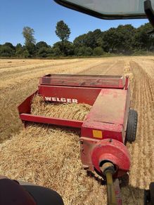 Square Bales Of Golden Barley Straw
