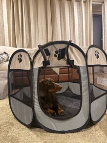 Portable Dog Playpen