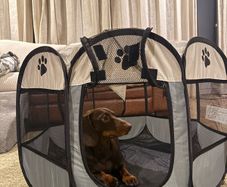 Portable Dog Playpen