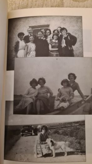 Letters From Irish College. Edited By Rose Doyle. Paperback In Very Good Condition.