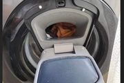 Samsung Ecobubble Add wash 8kg Washing Machine for parts only