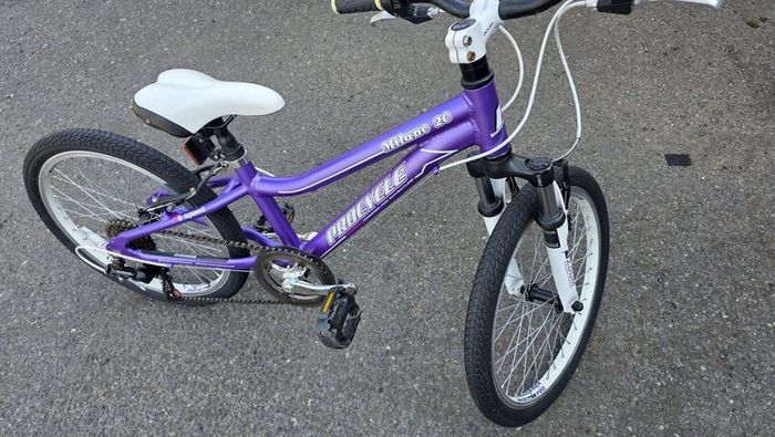 Girls Procycle Milano 20 Bike  Ready to Ride
