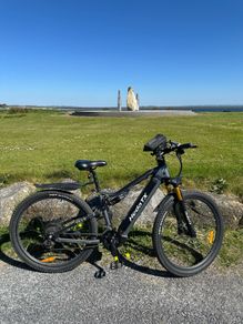 electric bicycle