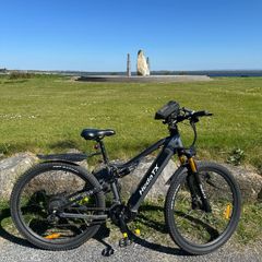 electric bicycle