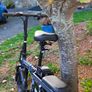 Electric bike Image 4