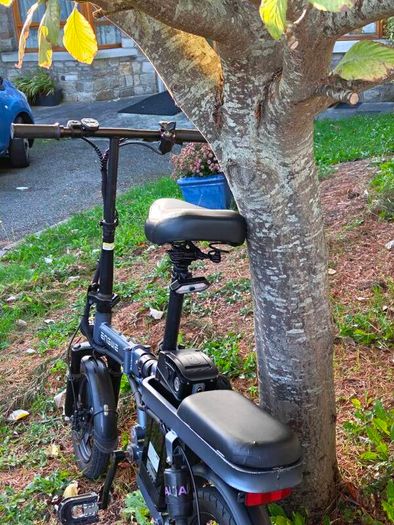 Electric bike