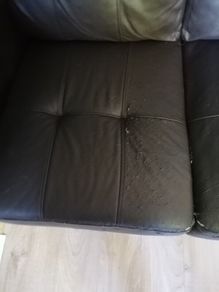free sofa