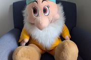 Large Bashful, Seven Dwarves