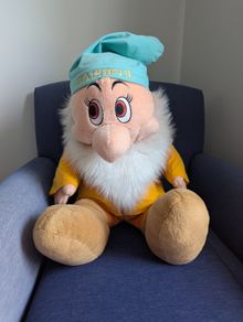 Large Bashful, Seven Dwarves