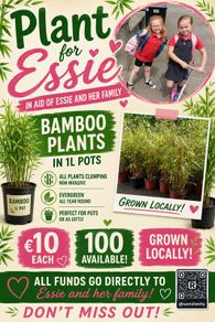Bamboo for local bayside girl Essie.