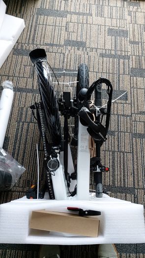 Electric Bike Fiido D2