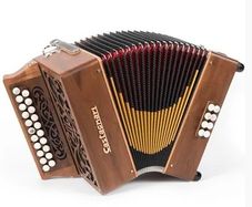 Button accordion LESSONS