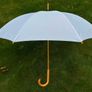 White Umbrellas Image 3