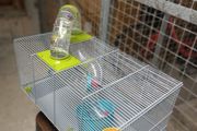 Hamster cage