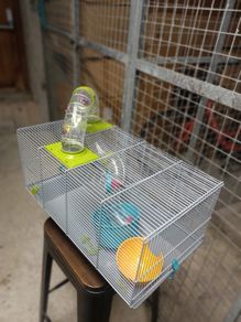 Hamster cage
