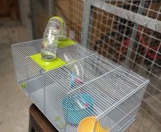 Hamster cage