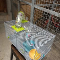 Hamster cage