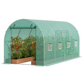 Greenhouse Tomato House Polytunnel
