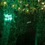 Swing & Pergola - instagram feature piece Image 5