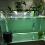 fish tank Image 3